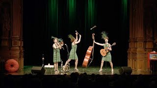 Zucchini Sistaz - Sing Sing Sing - Live!