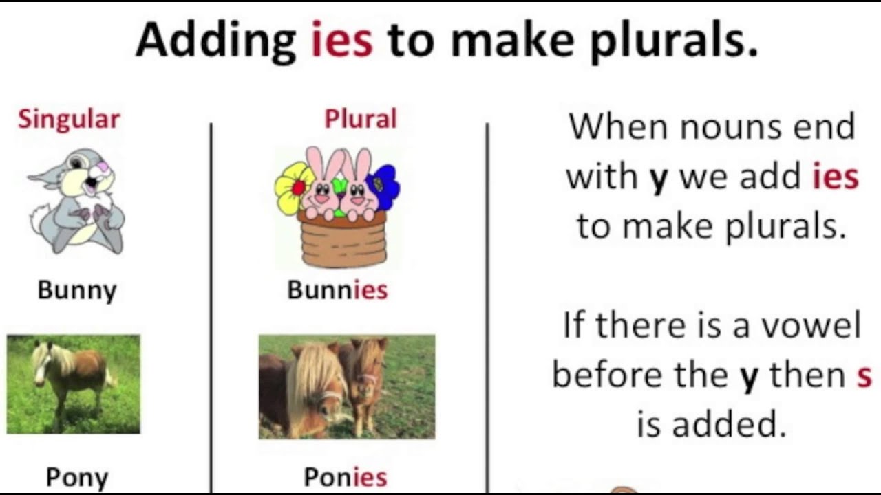 singular-and-plural-words-nouns-vocabulary-building-english