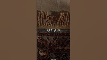 أية الكرسي ⚘️ماهر المعيقلي تلاوة مؤثرة حالات واتس اب قرآن