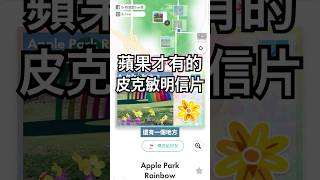 在Apple Park玩皮克敏!居然有專屬明信片!#皮克敏 #pikminbloom #shorts