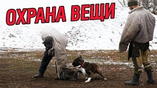 Отличная охрана вещи - боксер Харди