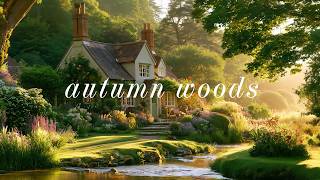 three hours in the autumn woods 🍁 soft piano music for reading, studying & calm focus screenshot 4