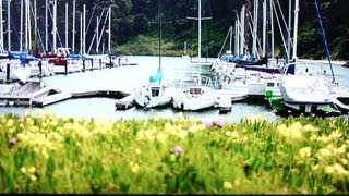 Quantum Dot color still isn't worth this price