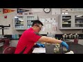 Bacterial Conjugation Analysis - YouTube