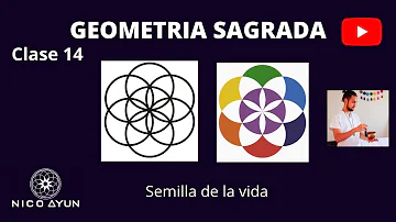 ¿Qué simboliza la semilla en nuestra vida?