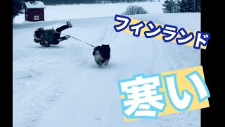 TRAVIS JAPAN 新曲フィンランド−10度で踊ってみた【My Week】