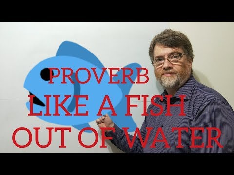 English Tutor Nick P Proverbs (121) (Be) Like a Fish Out of Water