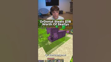 DrDonut Steals $3B Worth Of Skellys @DrDonutt #drdonut #donutsmp #minecraft #gaming #funny