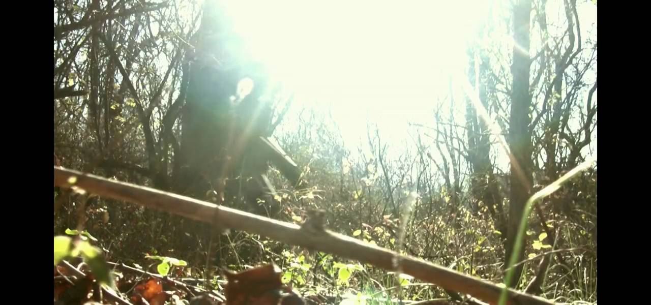 The Library is on Fire - Monkey in My Chair - Official Video