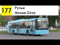 Автобус 177 &quot;Новая Охта - Ручьи&quot;