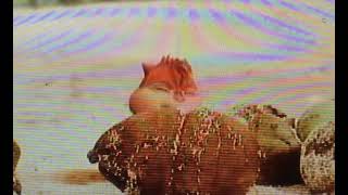 Alvin And The Chipmunks Chipwrecked 2011Alvin Mnnnksoswalt Disney