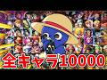【バウンティラッシュ】新環境カクはどこ！？過去最大規模になるかも