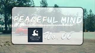 Peaceful Mind  🌼 - Soft Tunes for Romantic Relaxation - No. 66