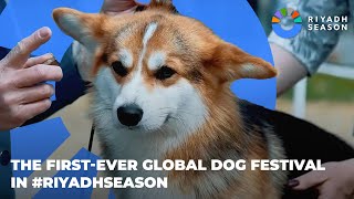 The Global Dog Festival |  مهرجان الكلاب العالمي