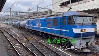 【HD60P】通過貨物列車 2024年8月分