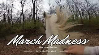 March Madness Day 3 by James Tonery Equestrian 124 views 1 year ago 4 minutes, 39 seconds