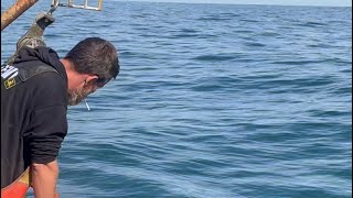 Lifting the all or nothing string lobster traps. New spot, new strategy, new bottom