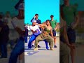 The guys reactions are everything! 💯 w/ Enola Bedard #shorts #dance #public