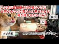 【スカッと猫ミーム】「貧乏人は帰れ」と侮辱した高級レストラン店員に義母が放った一言で店員絶句！#猫マニ #猫ミーム