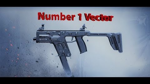 Best Vector setup for Modern Warfare (PS4)