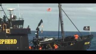 Paul Watson fires a rocket signal toward the Yushin Maru screenshot 5