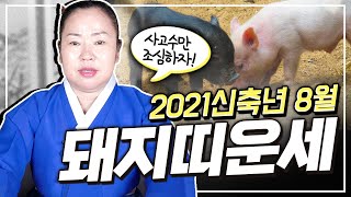 [충남용한무당 옥화보살] 2021신축년 8月 돼지띠 운세 | 띠별운세 나이별운세