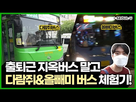 서울시에 출퇴근용 버스가 따로 있다❓❗ 출퇴근길 지옥버스❌ 다람쥐버스🐿 &amp;amp; <strong>올빼미버스</strong>🦉 ㅣ 서울 영상 크리에이터