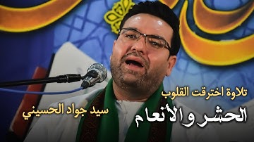 تلاوت زیبا و بسیاردلنشین از سوره حشر وانعام | سید جواد حسینی