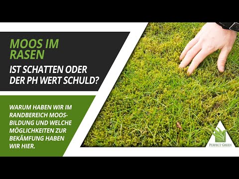 Video: Mitt gräsmatta pH är för högt: tips om hur man sänker gräsmattans pH