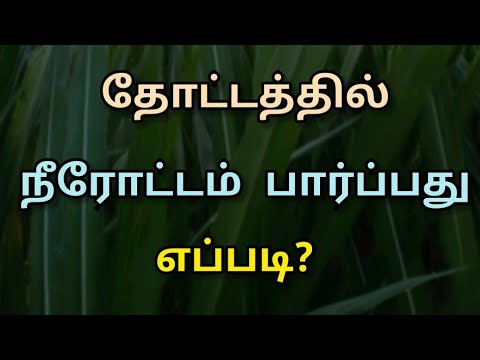 தோட்டத்தில் நீரூற்று பார்ப்பது எப்படி? பயிற்ச்சி-1