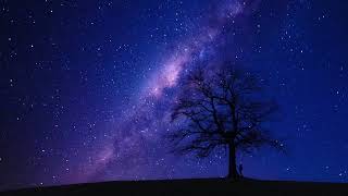 I am That I Am - Meditation Music Dr Wayne Dyer