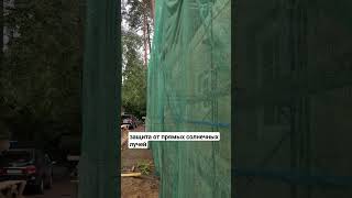 фасадная сетка для отделки фасада - плюсы #ремонт #отделка #стройка #деревянныйдом #красимдом #wood