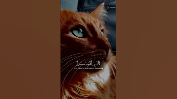 واذا تتلى عليه اياتنا ولى مستكبرا كان لم يسمعها القارئ ياسر الدوسري القرآن الكريم 