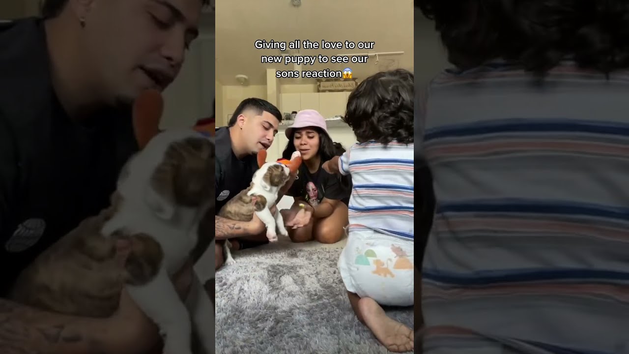 Our Son Gets Jealous Of New Puppy Shorts