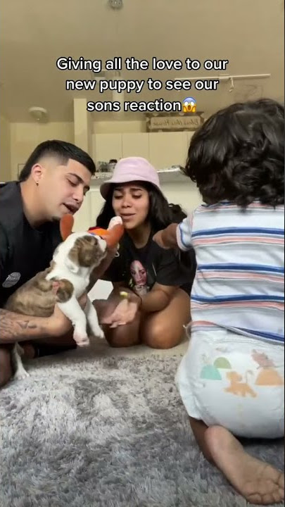 Our son gets jealous of our new puppy🥺 #shorts