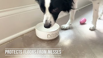 G-Floor Pet Protective Flooring