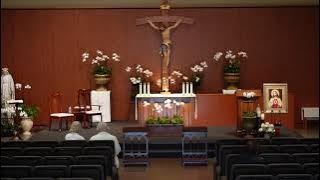 STM Livestream: 9:30AM Sunday Mass