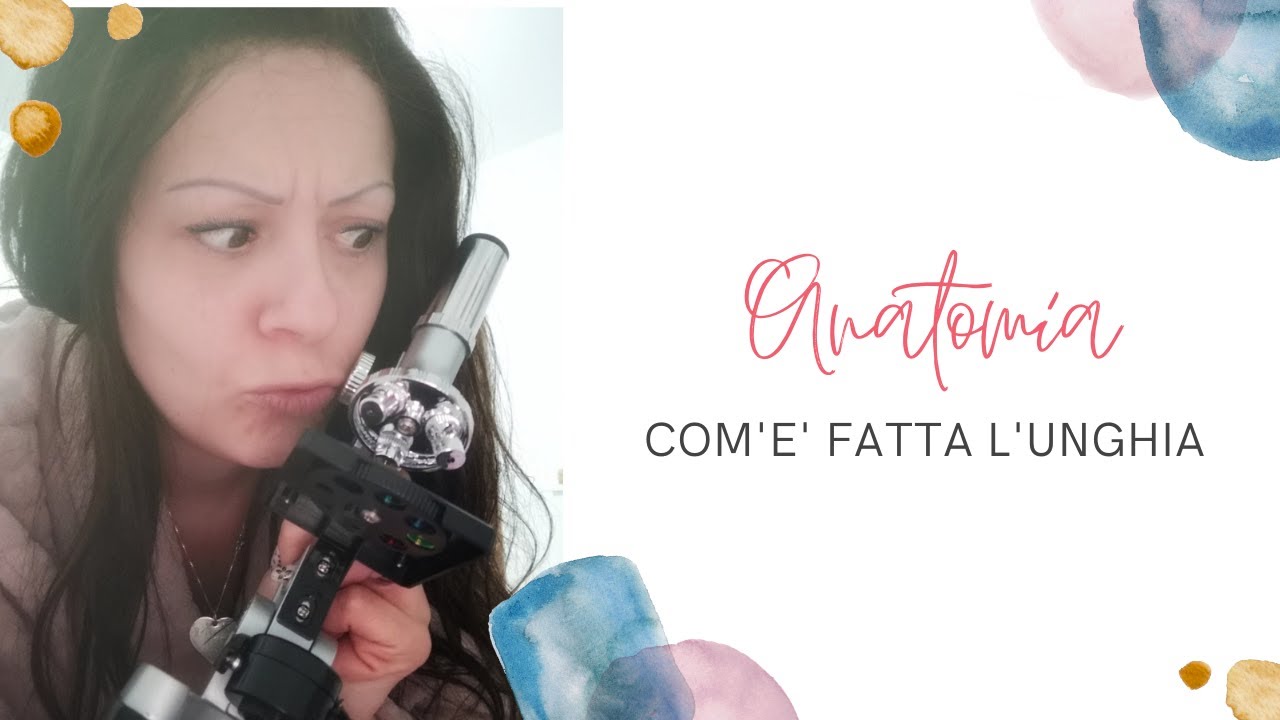 Anatomia dell'unghia