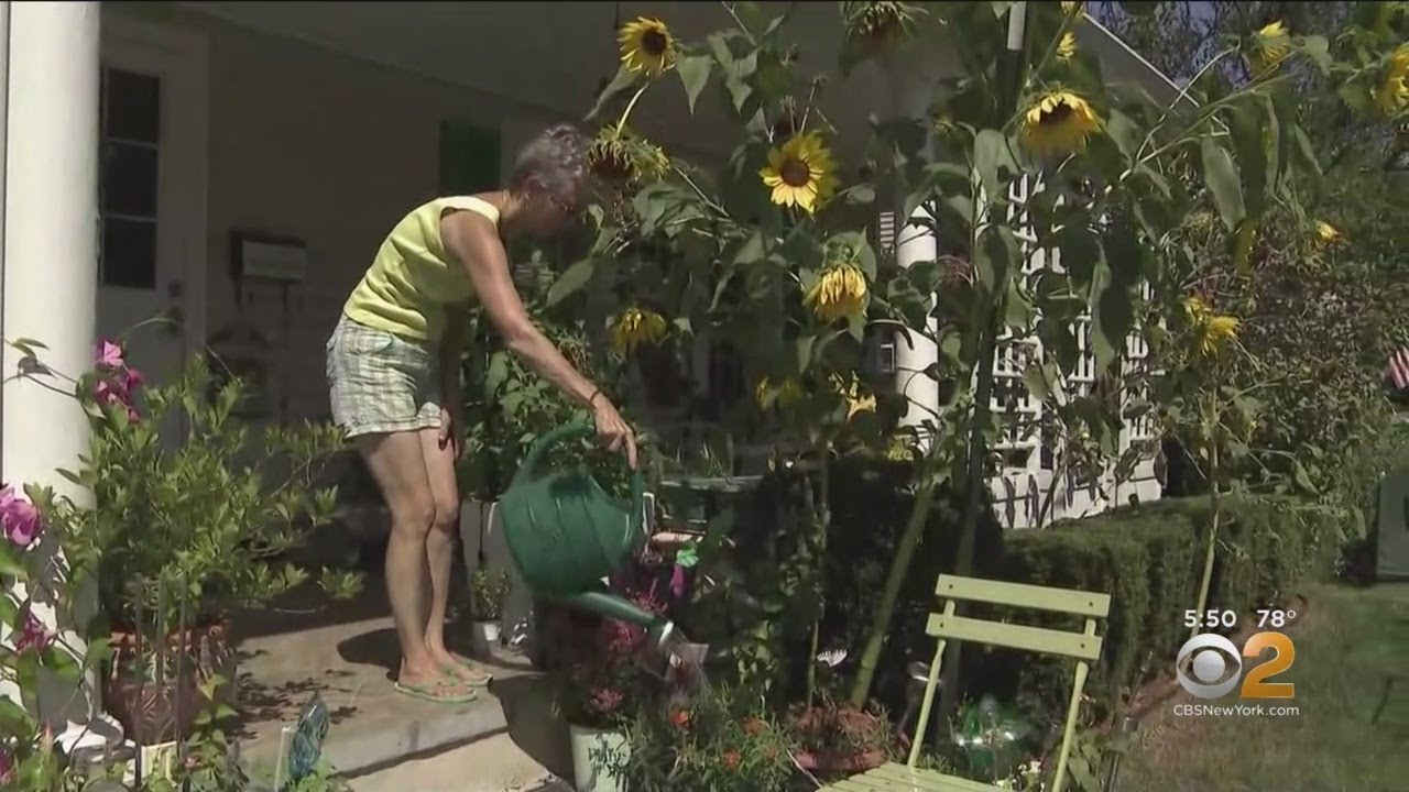 lisa rozner cbs new york Long Island Families Take Part In 'Re-Wilding' Project