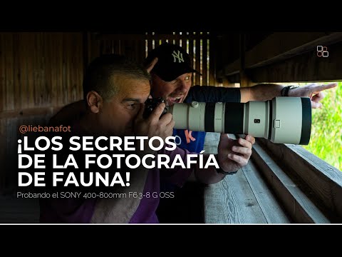 Fotografía de fauna: lo que DEBES saber antes de salir al campo, con Antonio Liébana 🪶📸