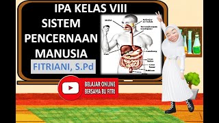 Sistem Pencernaan Manusia || IPA kelas 8 SMP Semester 1 Sistem Pencernaan Manusia || IPA kelas 8 SMP Semester 1