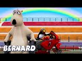 Motorcycle Racing! AND MORE | Bernard Bear | 30 min Compilation | Cartoons for Children