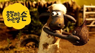 코코넛 [Shaun the Sheep Korea S3 | Full Episode]