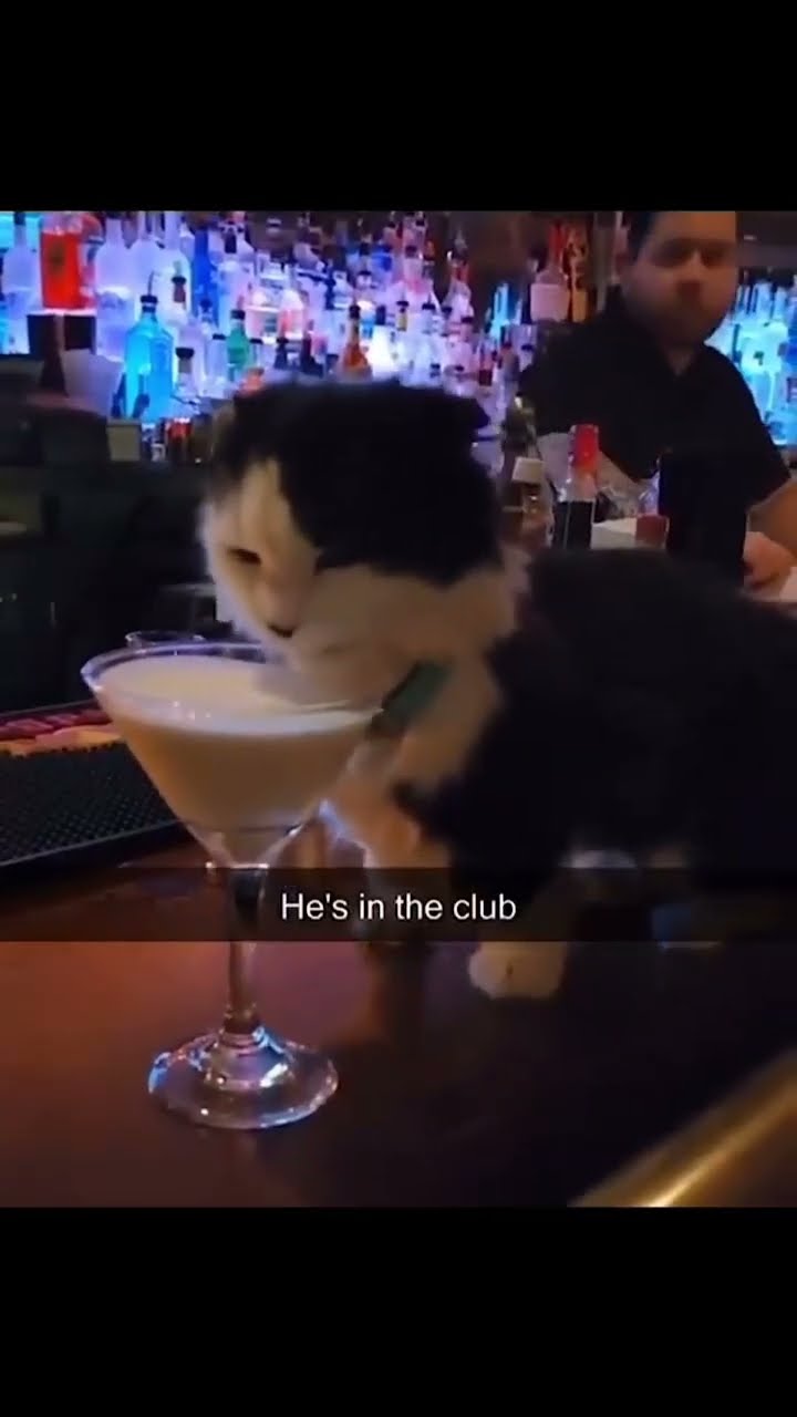 Kittyo like yeah I’m in the club doing my thing