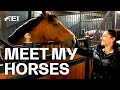 Dressage Trainer Natasha Althoff: My Horses, my Story & how to improve your Riding | Guest Vlog