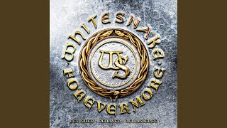 Download Lagu Dogs in the Street (Evolution) MP3