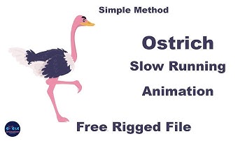 After Effects Tutorial - Ostrich Slow Running Animation