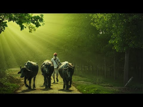 Awesome Rays | Photoshop Manipulation Tutorials Photo Effects Awesome Rays | Photoshop Manipulation Tutorials Photo Effects