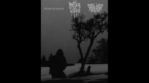 Misery Among Ourselves - Spätjahr Melancholie, Rotten Light, Drowning Deeper FULL SPLIT