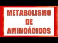 METABOLISMO DE AMINOÁCIDOS